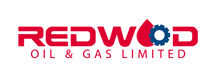Digital Strategy for Oil & Gas Company